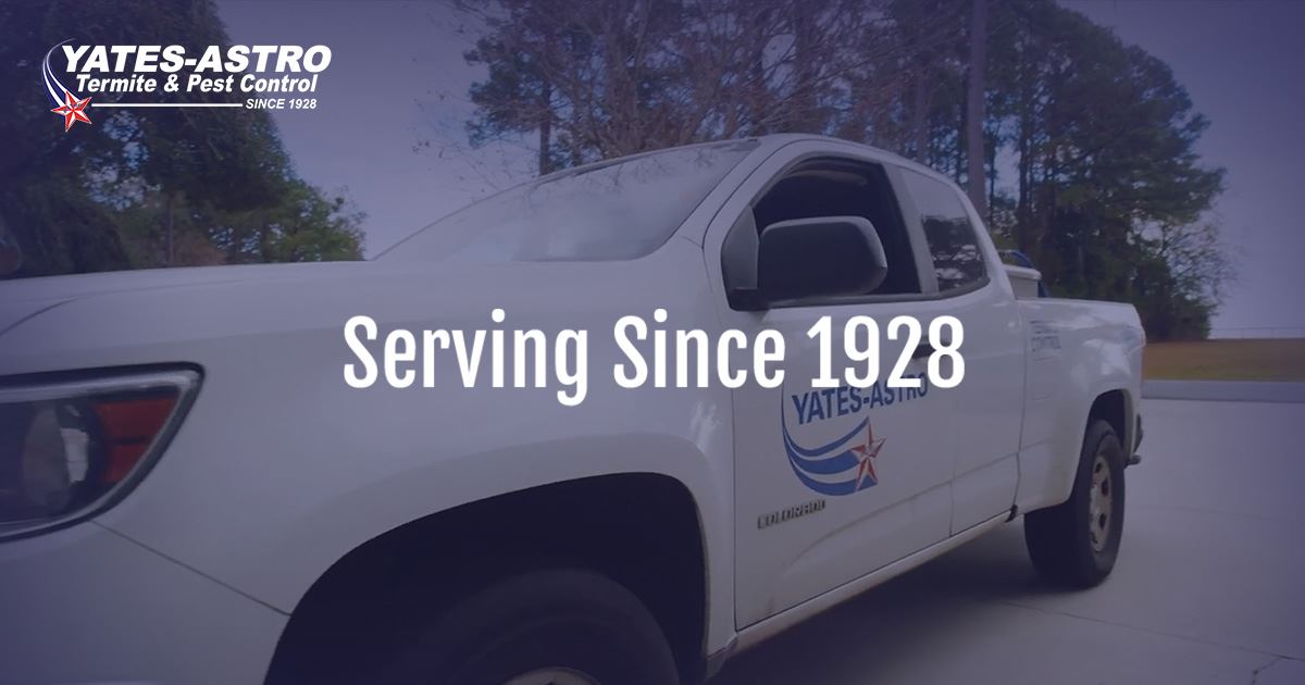 Yates-Astro Termite & Pest Control: Savannah Pest Control